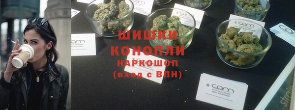 шишки Абаза