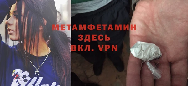 шишки Абаза