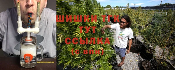 шишки Абаза