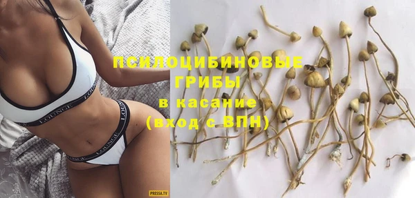 дживик Абинск