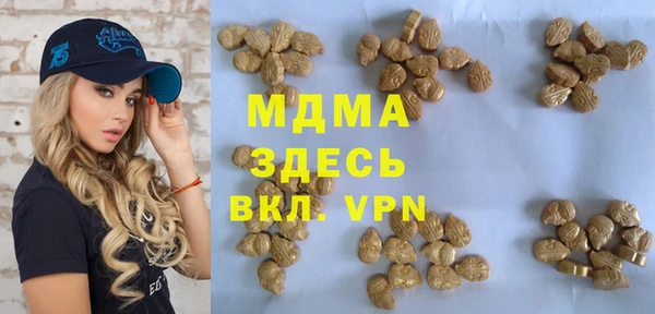 шишки Абаза