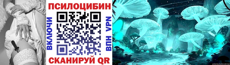 Псилоцибиновые грибы прущие грибы  Пыталово 