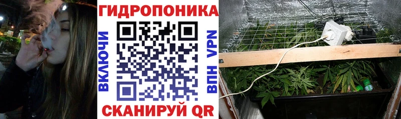 Бошки Шишки тримм  Пыталово 